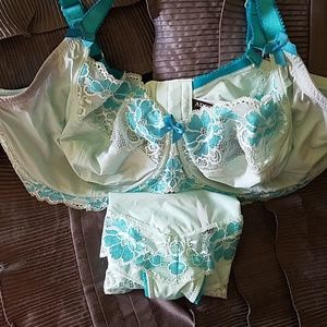 Adore Me 40H baby and teal blue bra & 1 undie